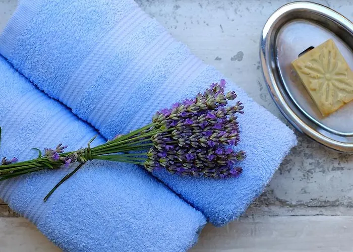 1号度假屋 皮兰