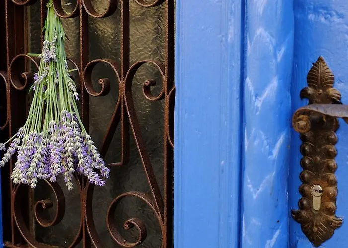 1号度假屋 皮兰