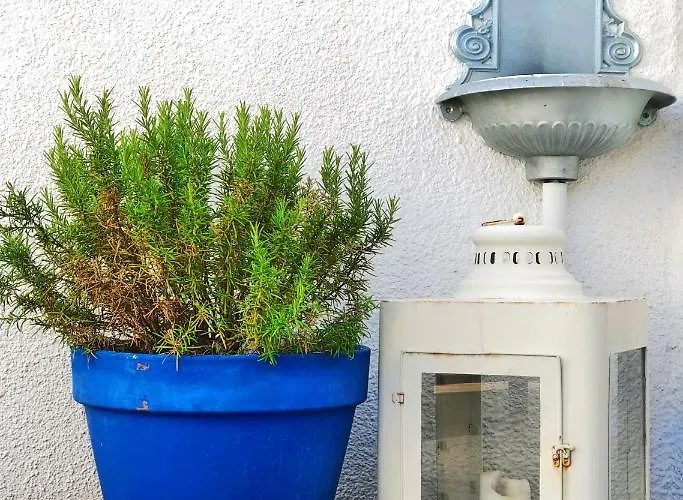 1号度假屋 * 皮兰